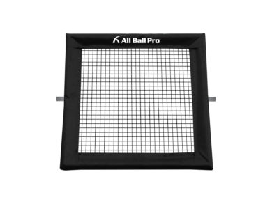 All Ball Pro® – Net Frame